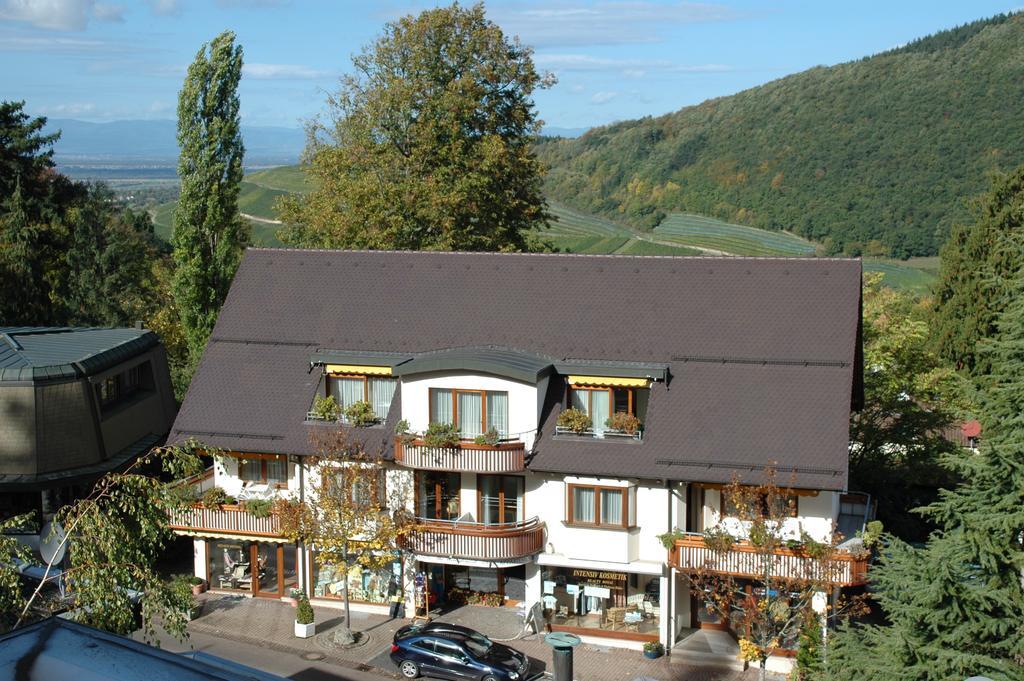 Park Appartements Badenweiler Kültér fotó